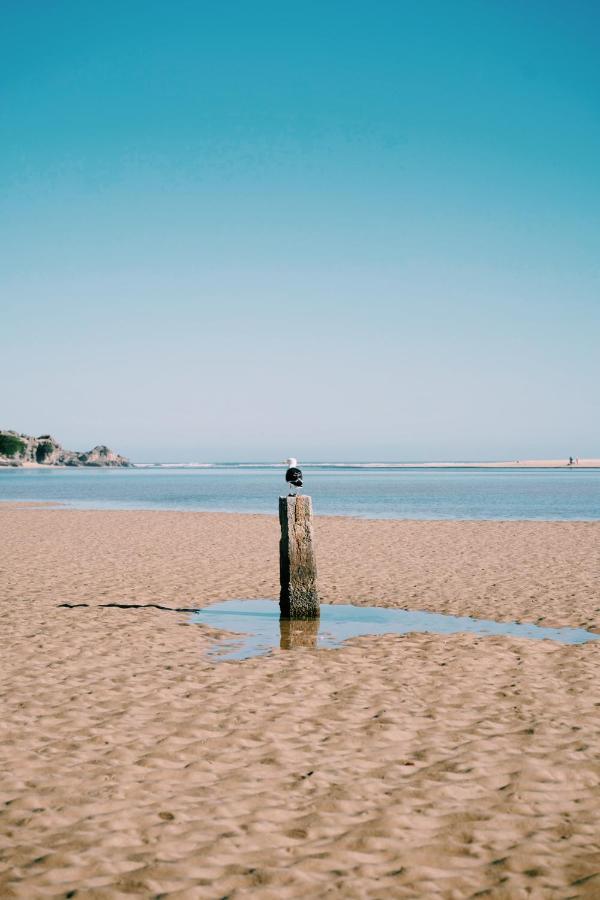 The Oyster Box Beach House By The Oyster Collection Kenton on Sea Buitenkant foto